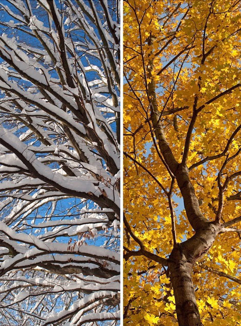 winter cold needs warms tones